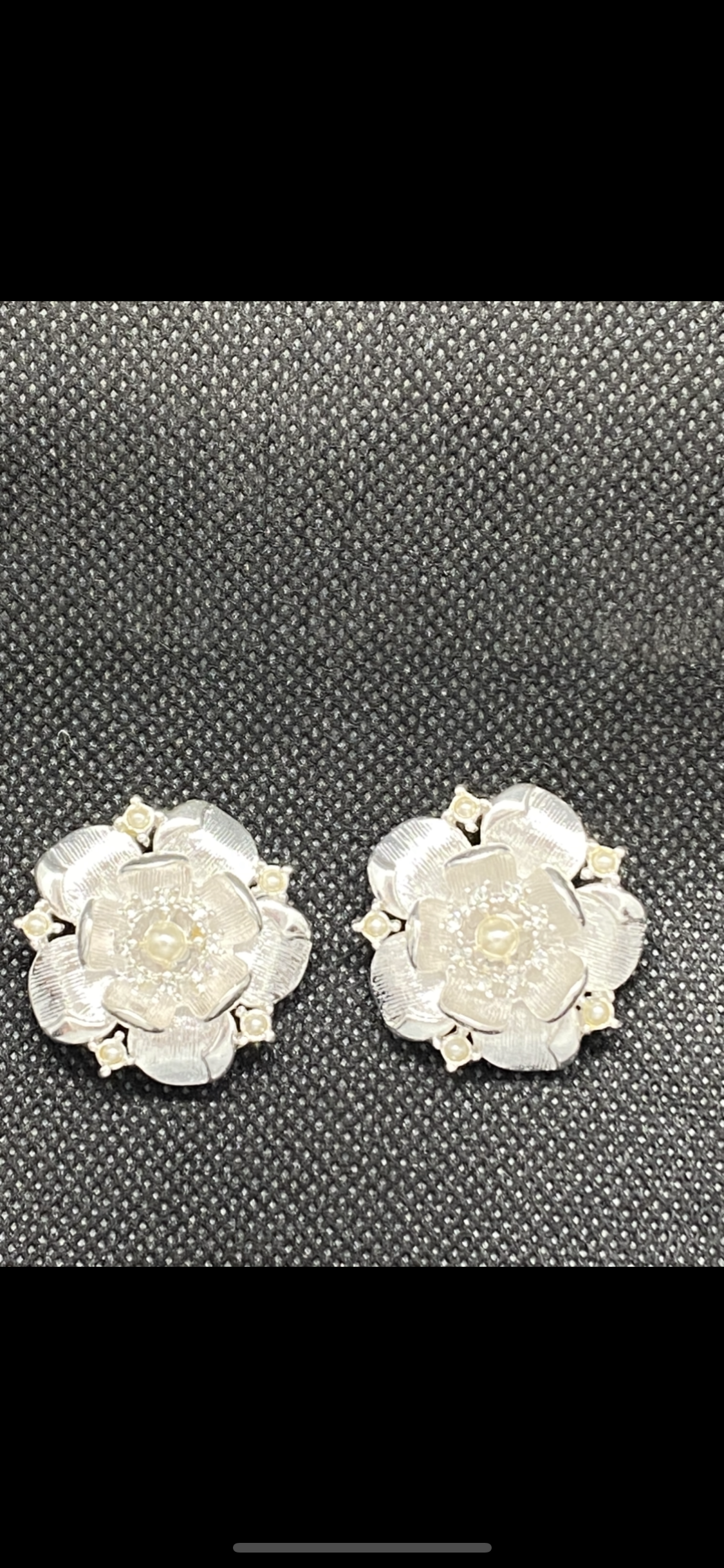 Rosette Silver Shoe Clips