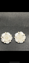 Load image into Gallery viewer, Rosette Silver Shoe Clips
