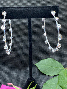 Christina Crystal Earrings