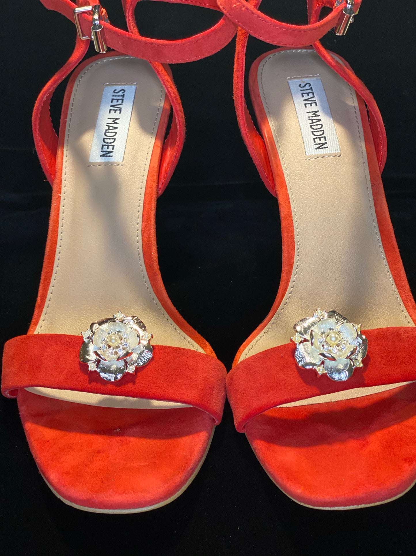 Rosette Silver Shoe Clips